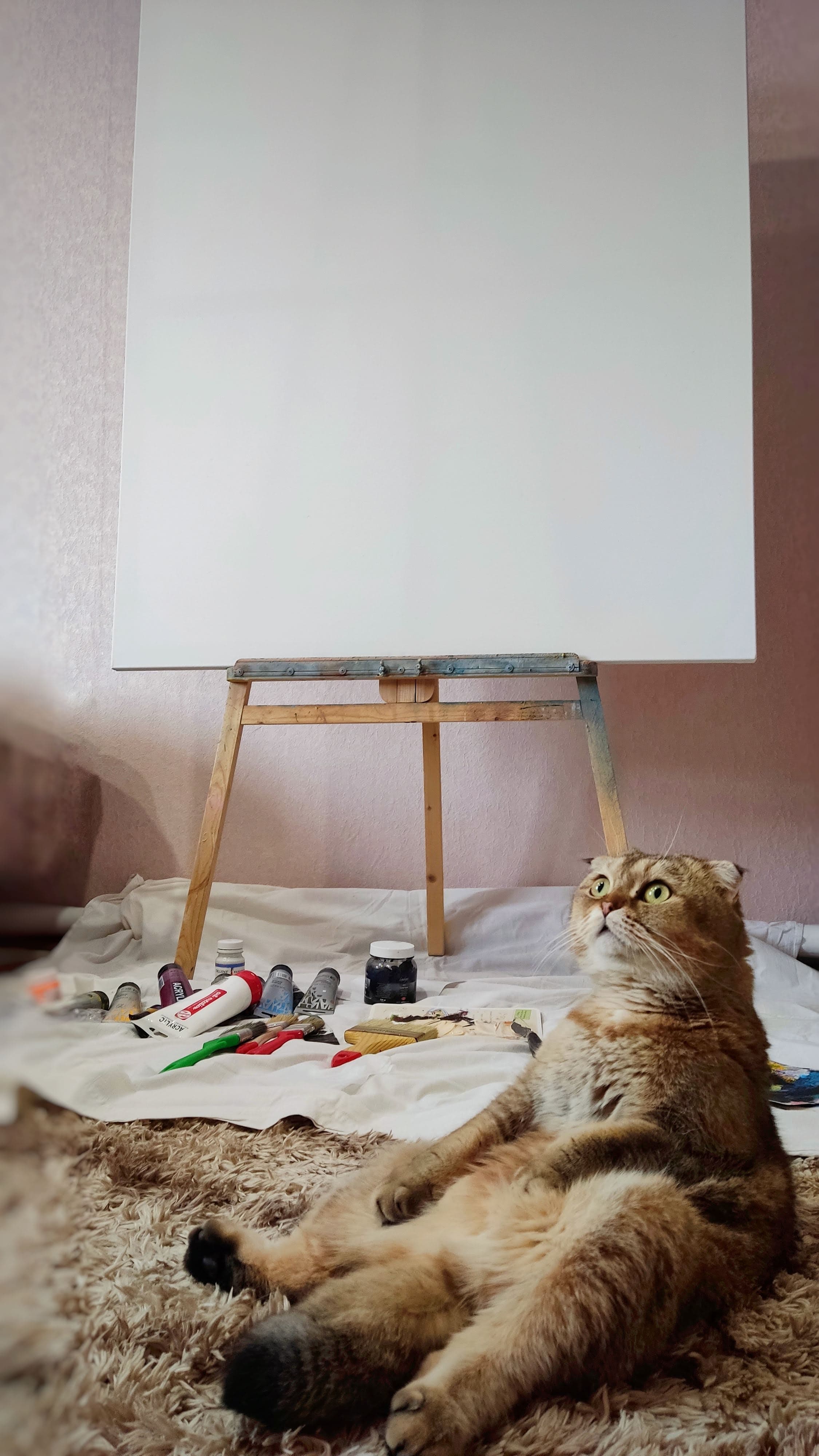 Злата внимательно смотрит на посетителей сайта