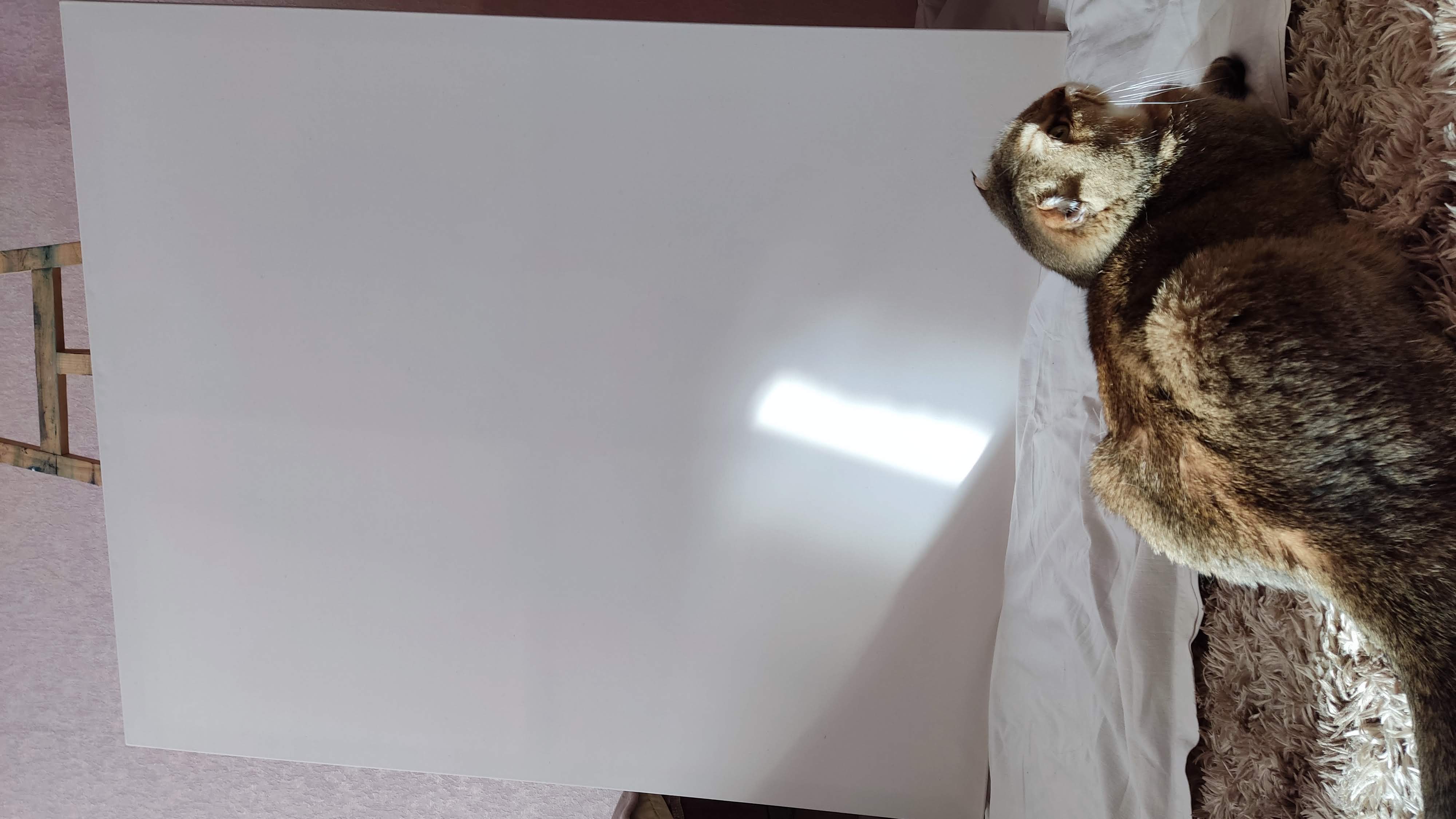 Злата в расслабленном режиме