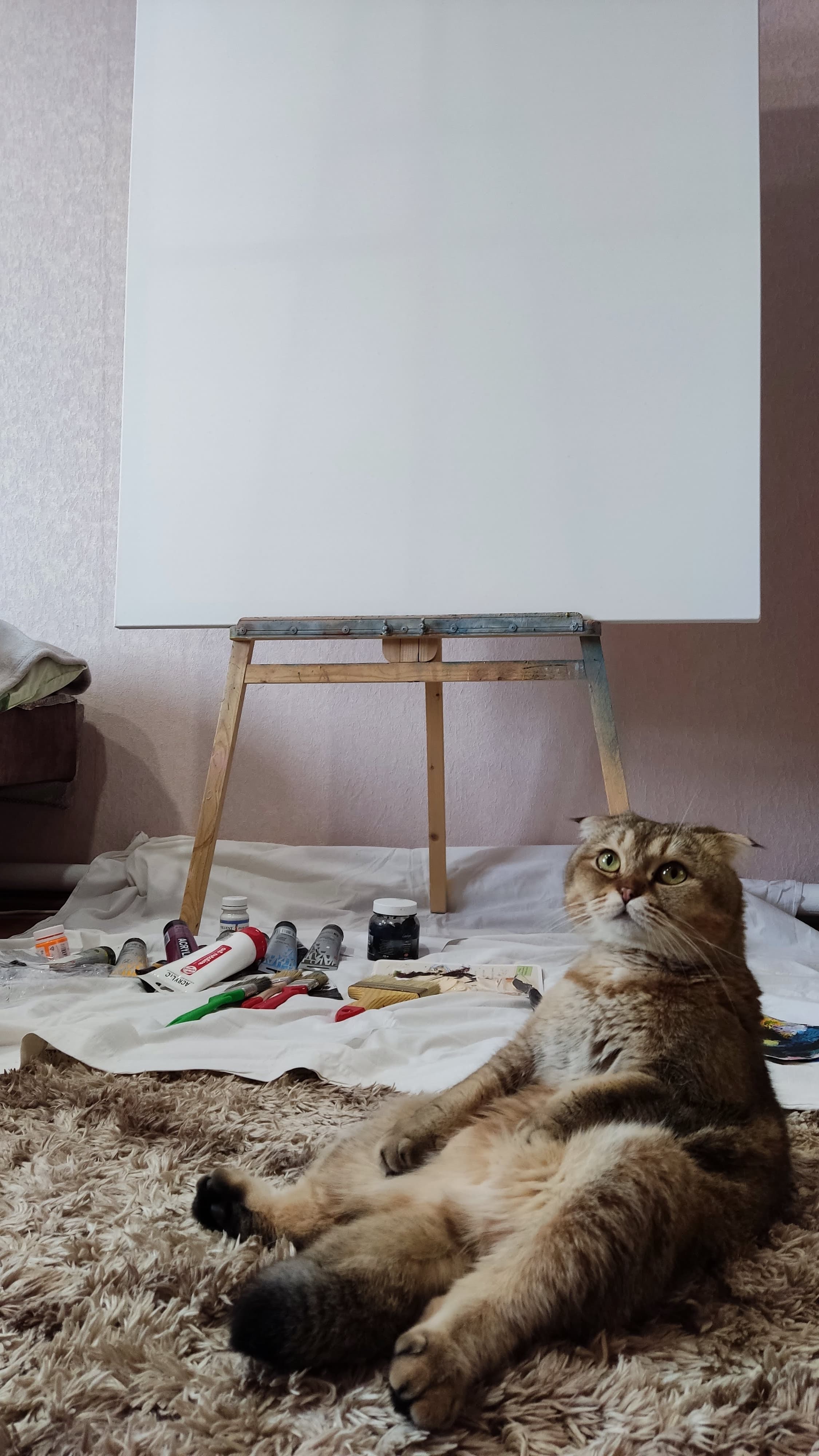 Злата рядом с художественными материалами