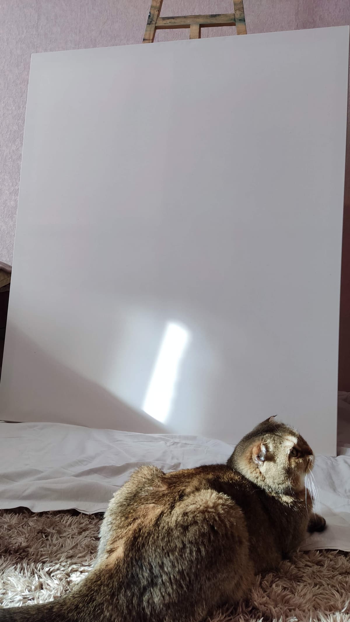 Злата 2